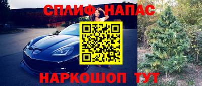 прущая мука Дубна