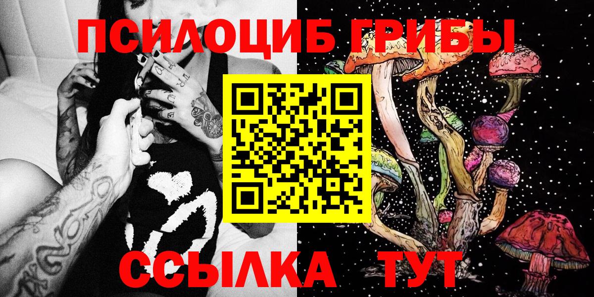 Псилоцибиновые грибы мухоморы  купить наркотики цена  Муравленко  Вход с VPN 